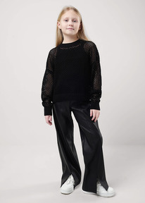 �����  Clever ����� ������� ��� ������� CLE 853147/10�� ������