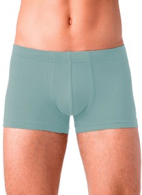 22.05 ��������� ALFA ����� ������� 6200 BOXER BRIEFS 16�6200 ����� �����