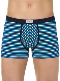 22.05 DiWaRi ����� ������� DIWARI BAND SHORTS 810 17�-495��� blue MSH 810 (� ���