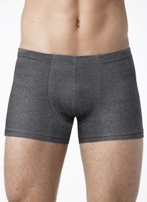 22.05 ALFA ����� ALFA BOXER SHORTS 6303 ����� �������  19�6303 ������ ������