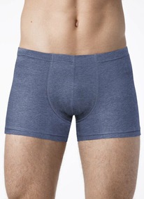 22.05 ALFA ����� ALFA BOXER SHORTS 6303 ����� �������  19�6303 ����� ������