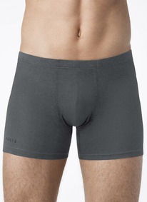 22.05 ��������� ����� ALFA BOXER SHORTS 6304 (����������) ����� �������  19�6304