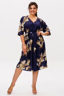 ������ ANELLI 1564 ����������� ���