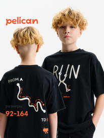 28.05 Pelican �������� ��� ��������� BFT3388/6 ������