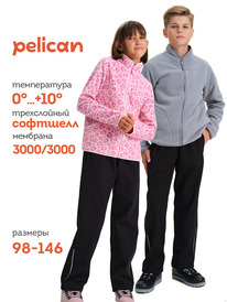 01.06 Pelican ����� ������� UZPS3376 ������