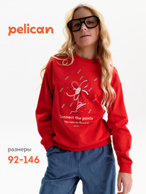 01.06 Pelican ��������� ��� ������� GFN3388 �������