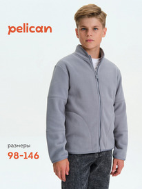 01.06 Pelican ������ ��� ��������� BFXS3376//1 �����