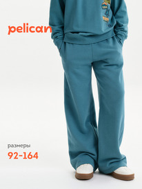 01.06 Pelican ����� ��� ��������� BFPQ3387 �����