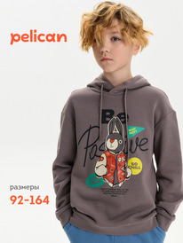 01.06 Pelican ��������� ��� ��������� BFNK3387 �����