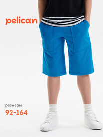 01.06 Pelican ����� ��� �������� BFH3352//4U ��������