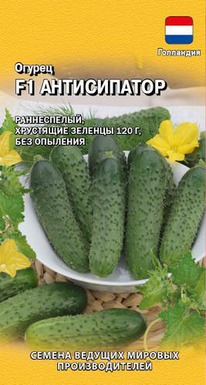 ������ ����������� F1