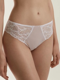 11.07 CONTE ELEGANT ����� CONTE ELLE TP3123 ����� ������� 22�-0008��� ����� TP31