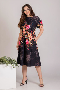������ MisLana 737
