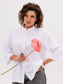 ����� ANELLI 1669 �������
