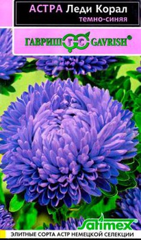 ���� ����� �����-����� �����  ����� ���������