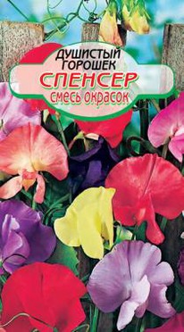 �������, ����� �������� �������