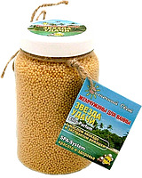 ���������  ������ �����