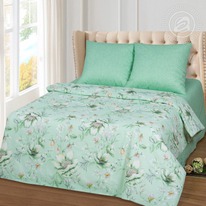 ������ ��� ���� �������