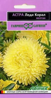 ���� ����� ������ ����� ���������� ���������