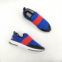 ��������� DISEL